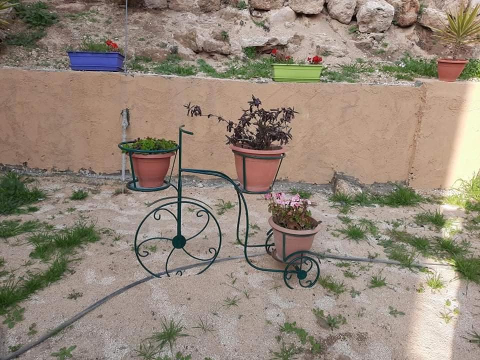 Emile Altwal Madaba Hotel Eksteriør billede